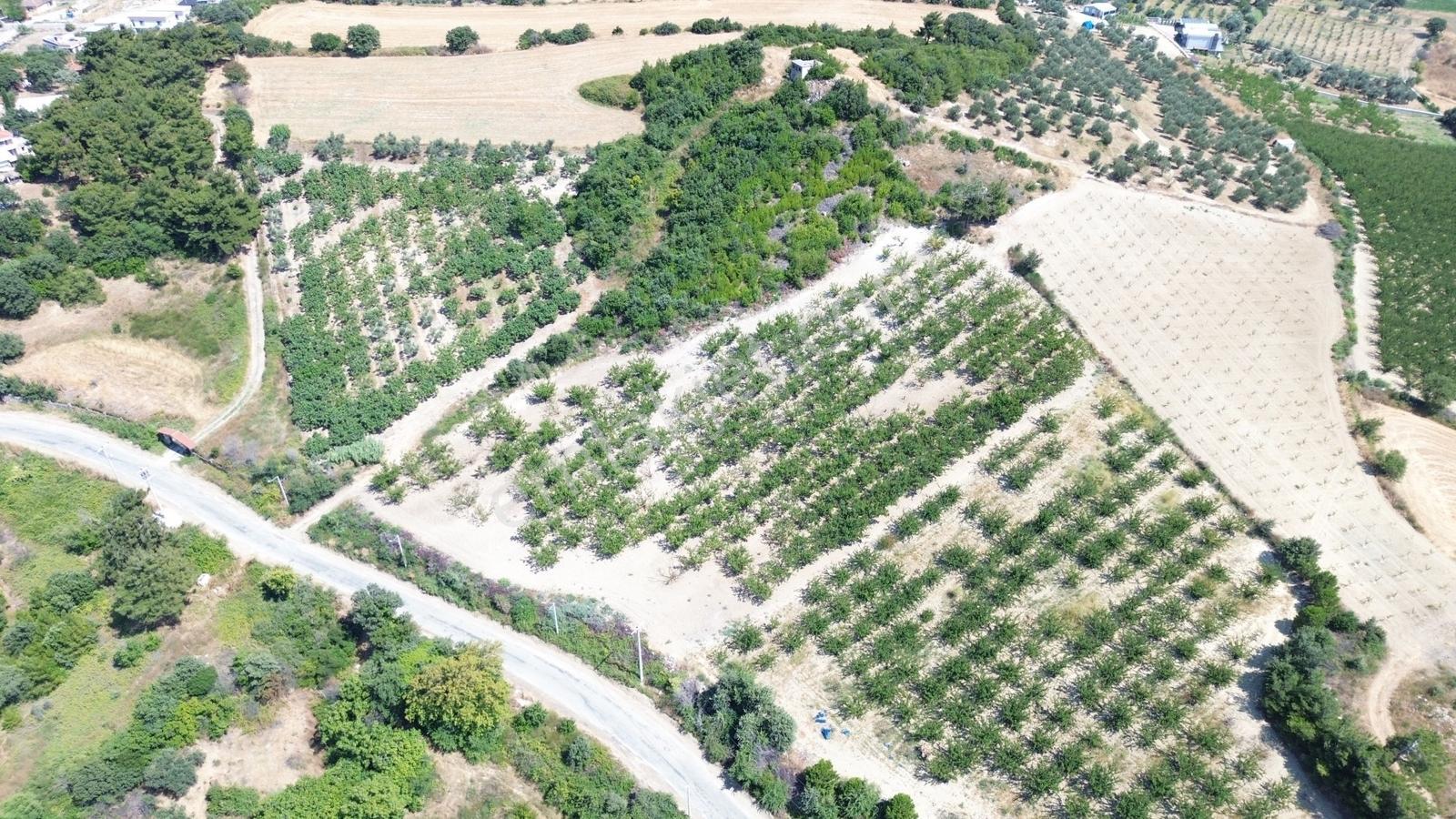 Yiğit Gayrimenkul'den Çanakkale Yapıldak Köyünde Satılık Tarla — fotoğraf 7
