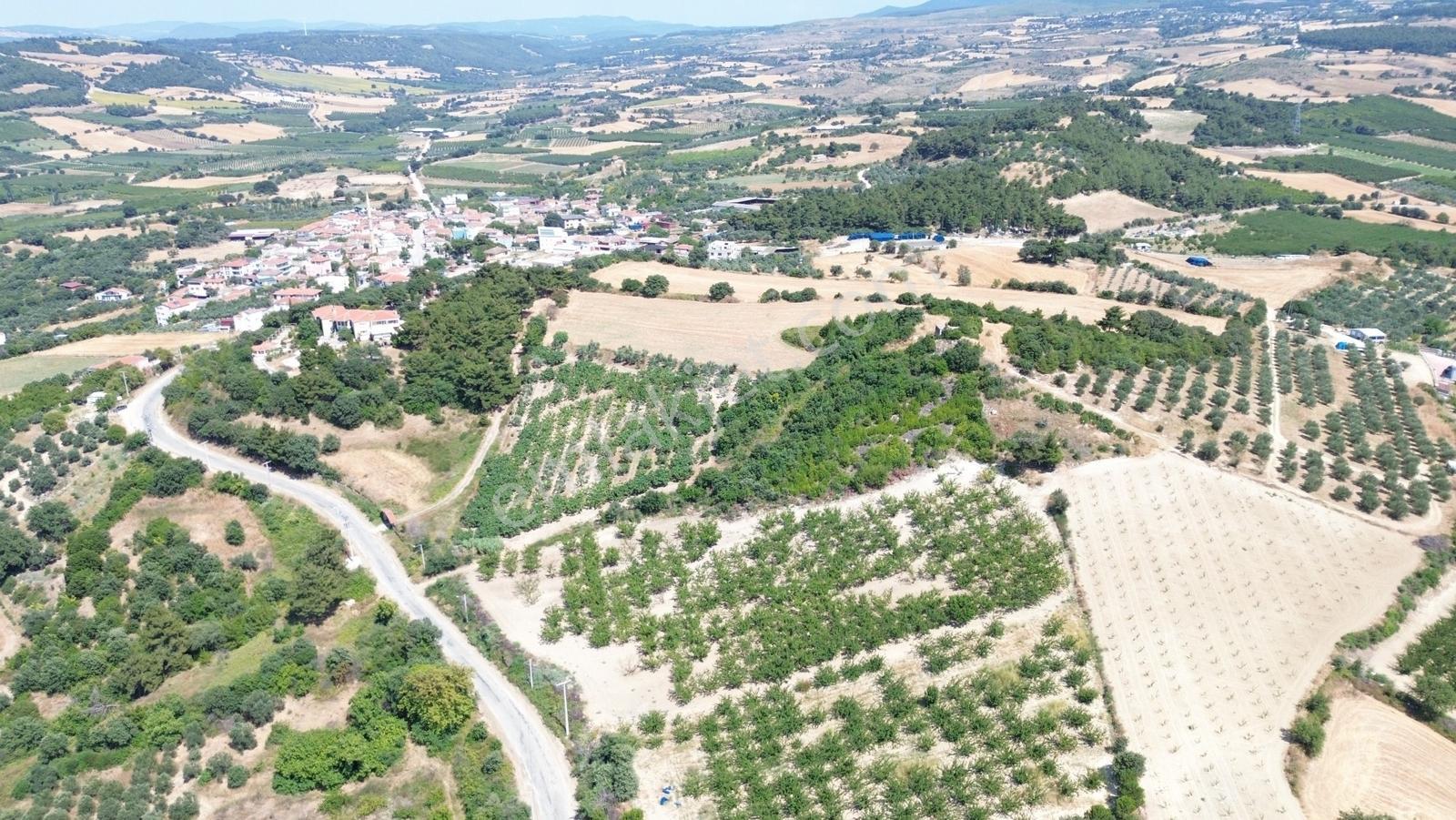Yiğit Gayrimenkul'den Çanakkale Yapıldak Köyünde Satılık Tarla — fotoğraf 9