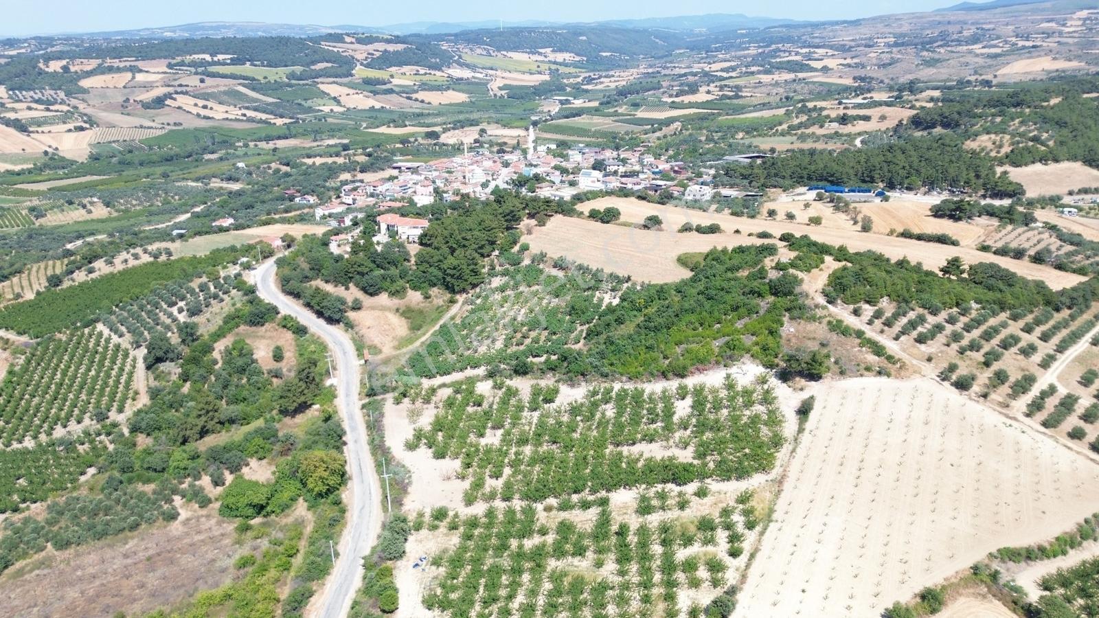 Yiğit Gayrimenkul'den Çanakkale Yapıldak Köyünde Satılık Tarla — fotoğraf 10