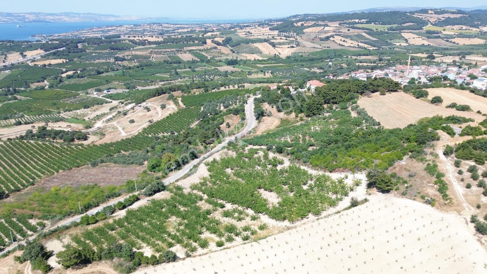Yiğit Gayrimenkul'den Çanakkale Yapıldak Köyünde Satılık Tarla — fotoğraf 13