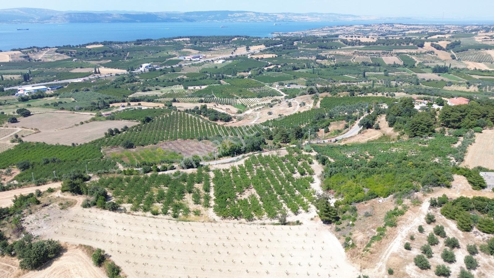 Yiğit Gayrimenkul'den Çanakkale Yapıldak Köyünde Satılık Tarla — fotoğraf 15