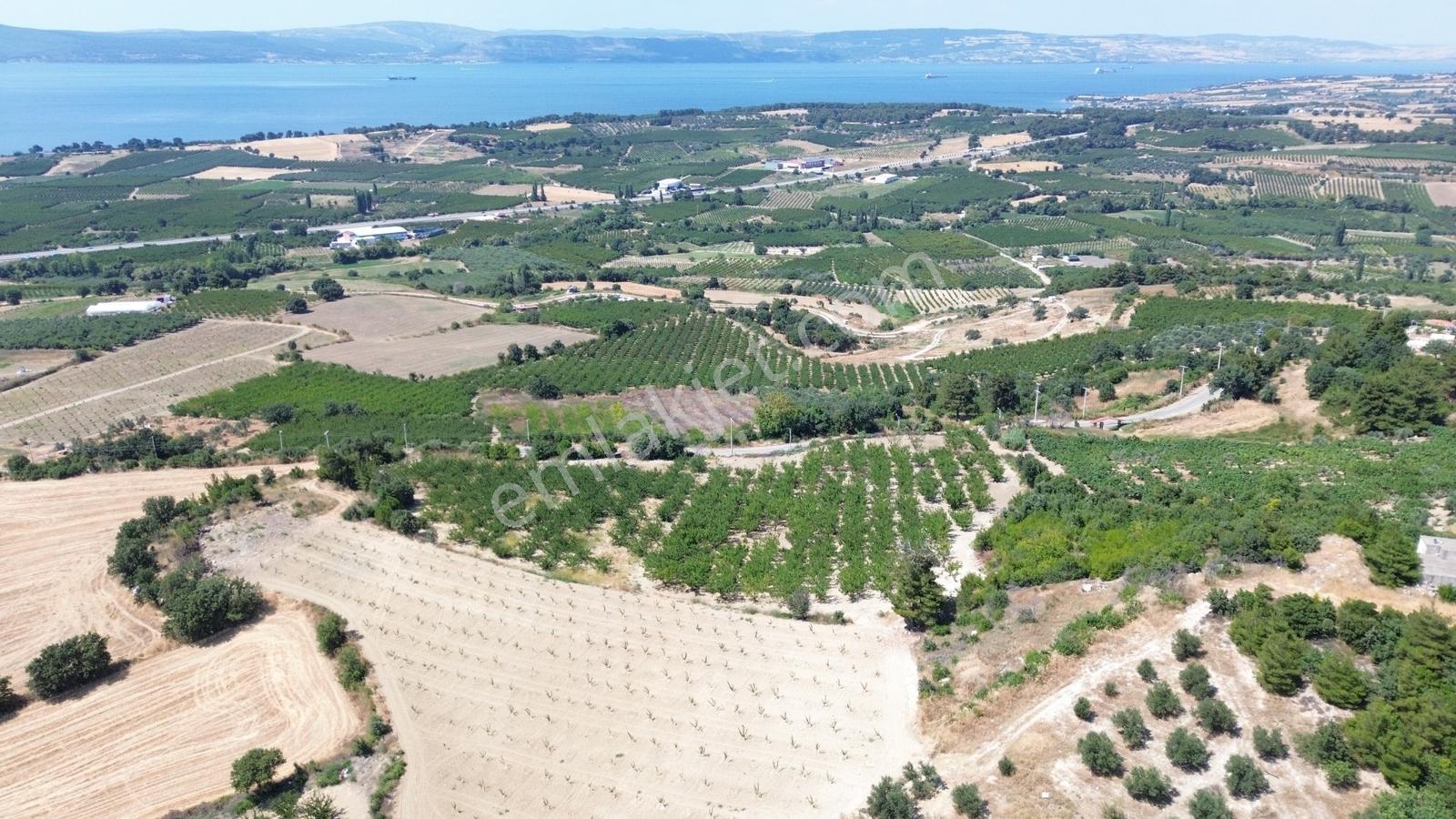 Yiğit Gayrimenkul'den Çanakkale Yapıldak Köyünde Satılık Tarla — fotoğraf 16