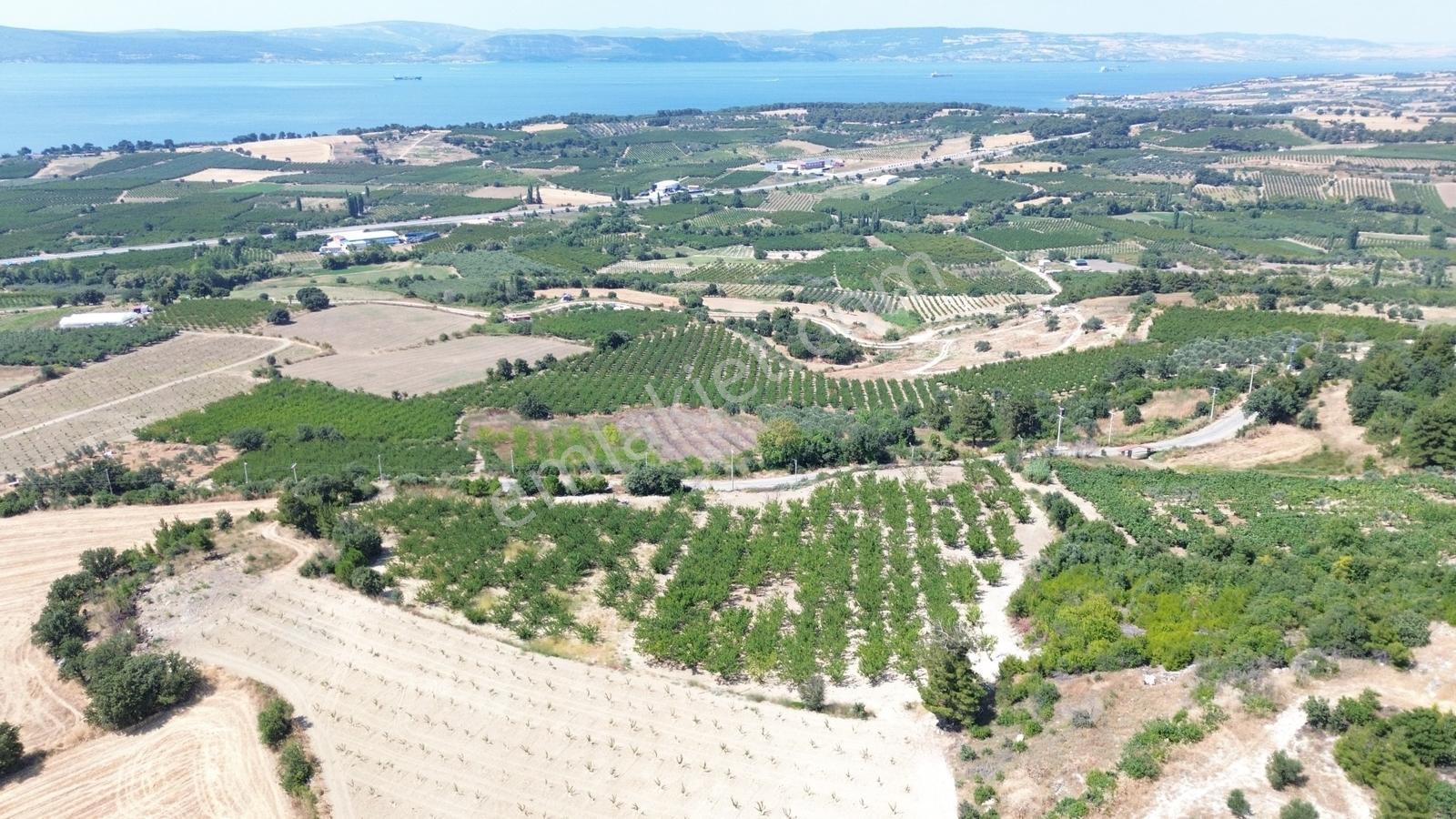 Yiğit Gayrimenkul'den Çanakkale Yapıldak Köyünde Satılık Tarla — fotoğraf 17