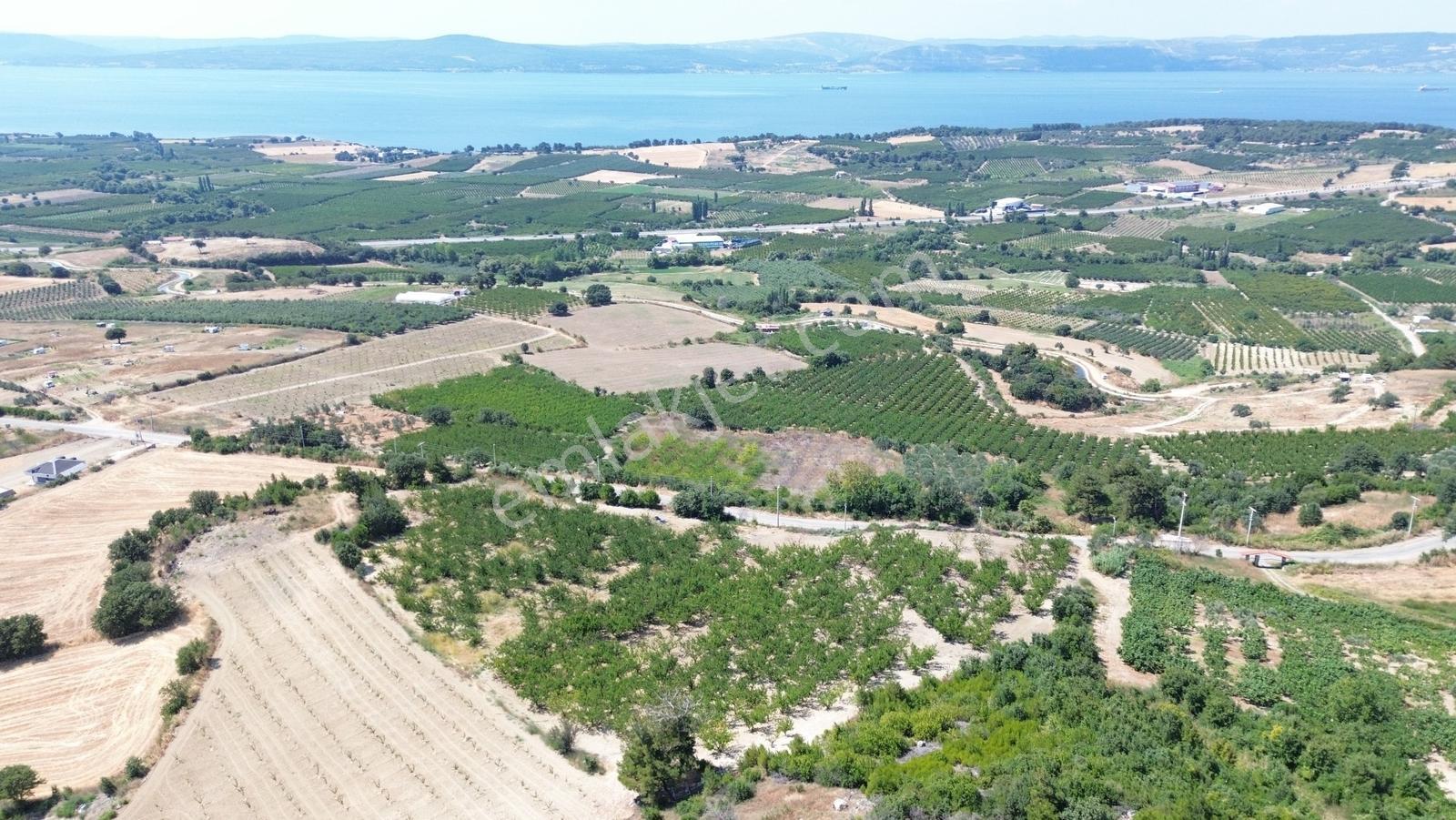 Yiğit Gayrimenkul'den Çanakkale Yapıldak Köyünde Satılık Tarla — fotoğraf 18