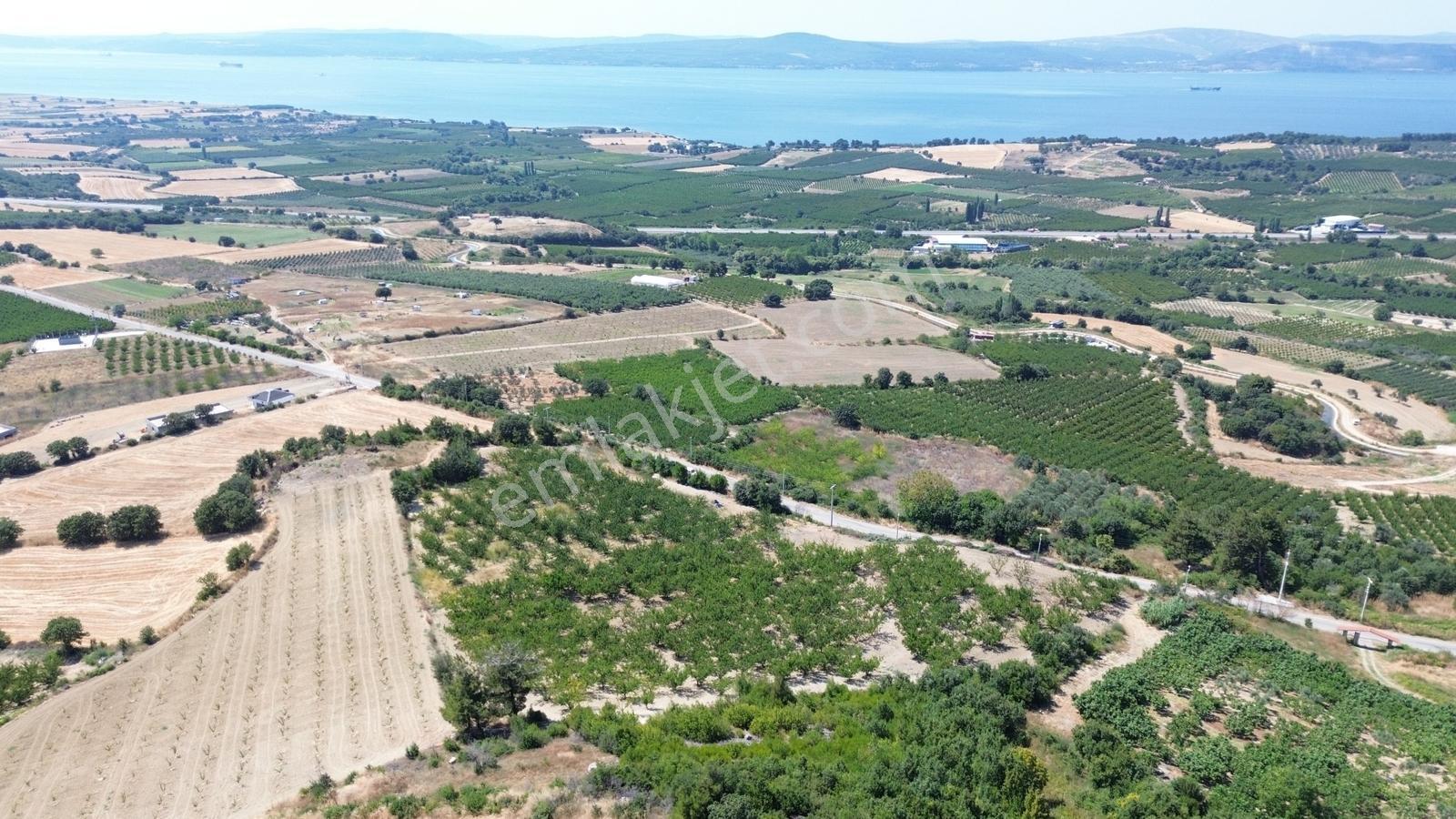 Yiğit Gayrimenkul'den Çanakkale Yapıldak Köyünde Satılık Tarla — fotoğraf 19