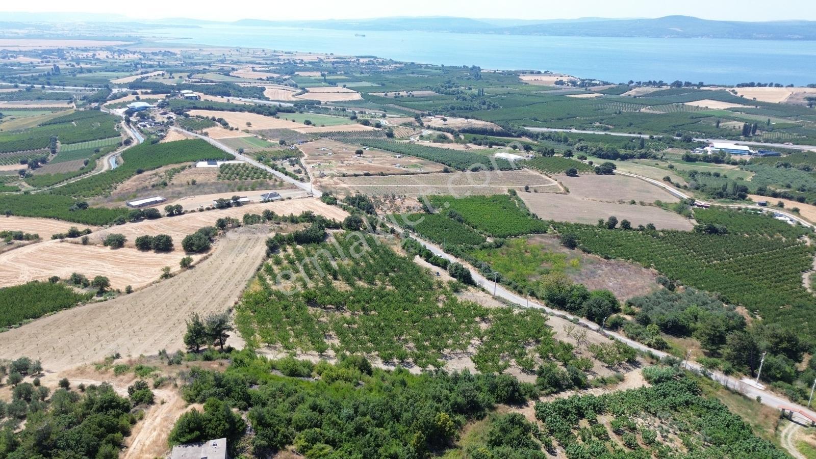 Yiğit Gayrimenkul'den Çanakkale Yapıldak Köyünde Satılık Tarla — fotoğraf 20