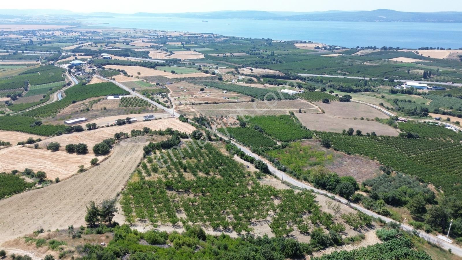 Yiğit Gayrimenkul'den Çanakkale Yapıldak Köyünde Satılık Tarla — fotoğraf 21