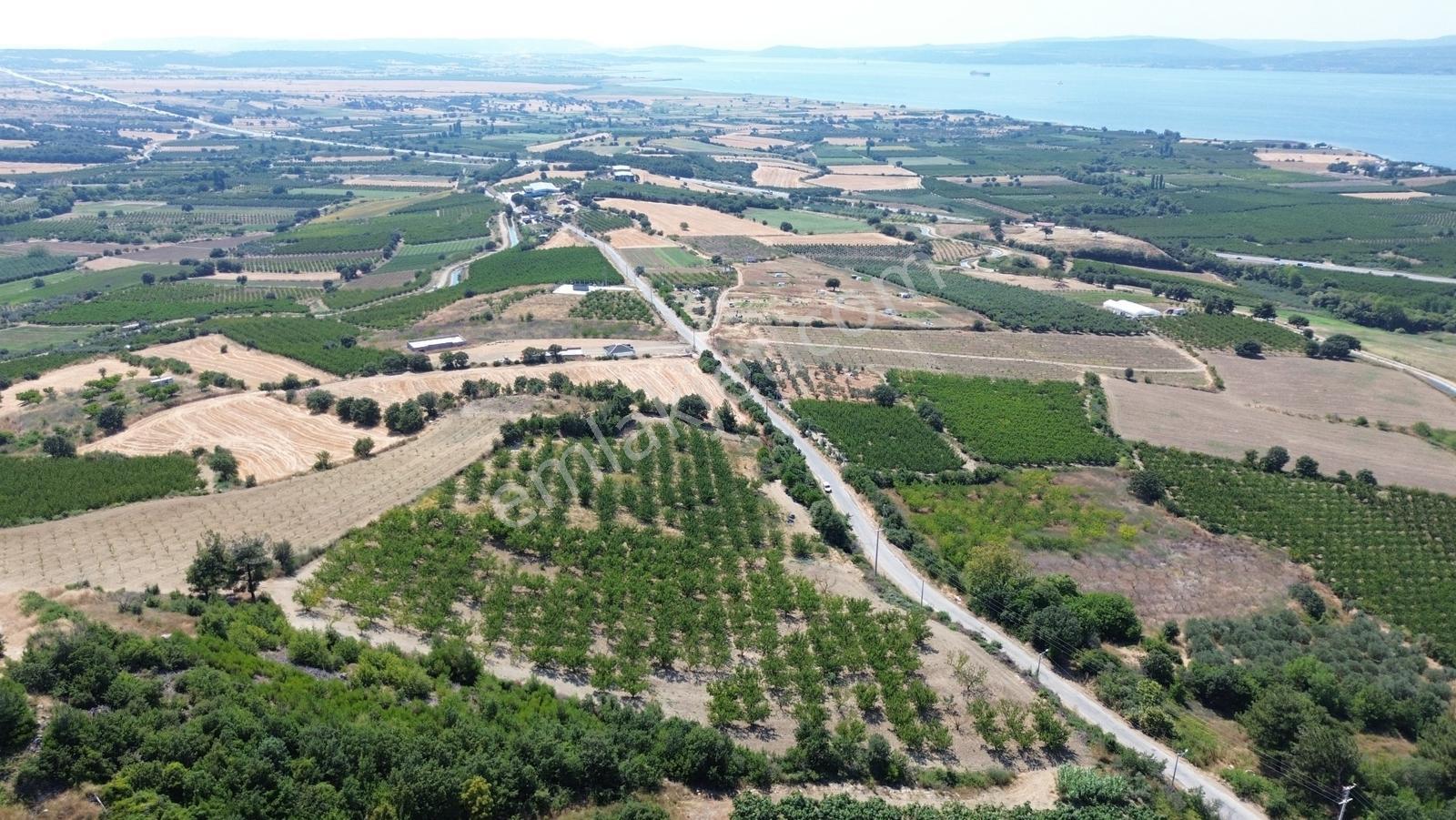 Yiğit Gayrimenkul'den Çanakkale Yapıldak Köyünde Satılık Tarla — fotoğraf 22