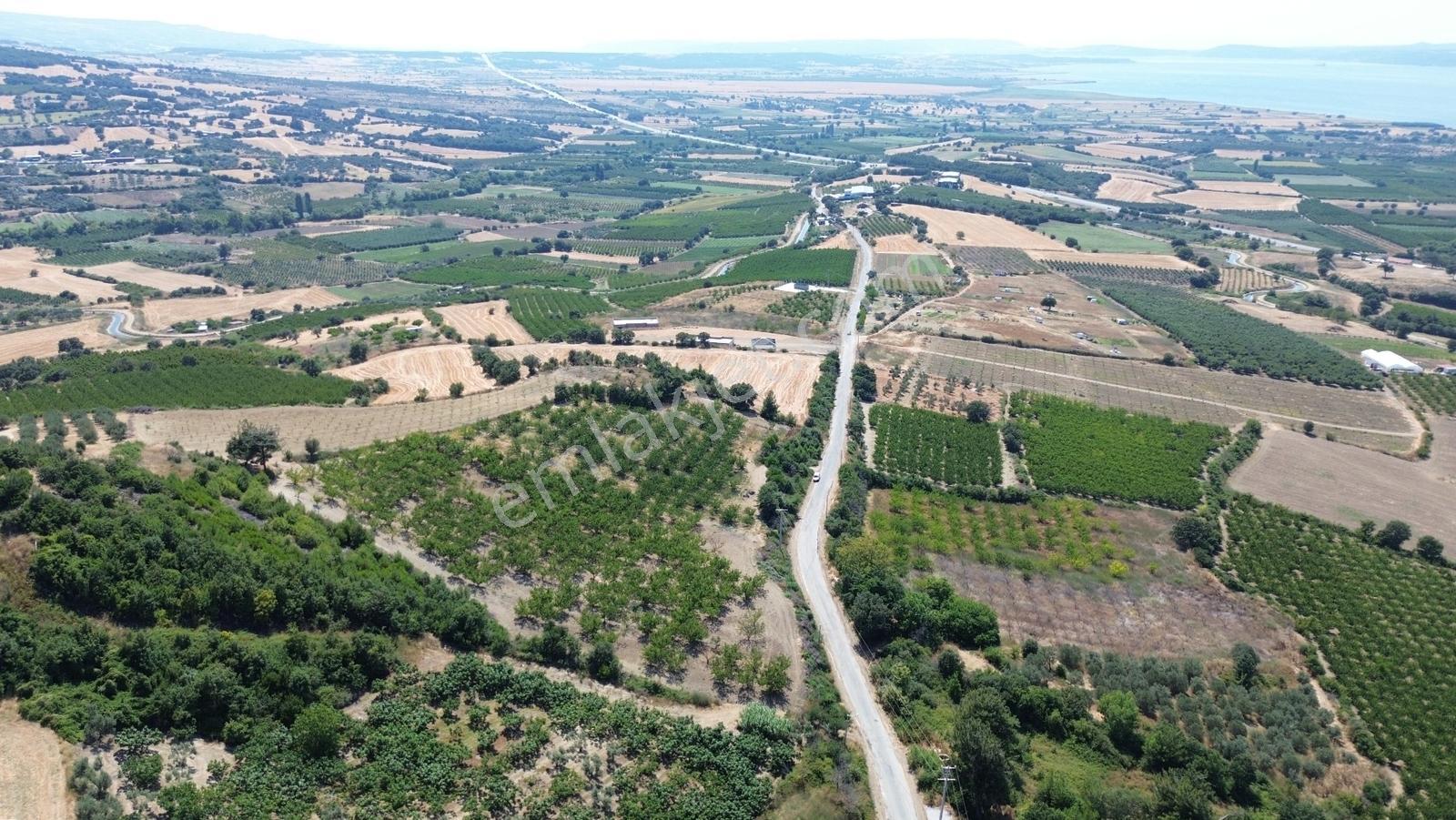 Yiğit Gayrimenkul'den Çanakkale Yapıldak Köyünde Satılık Tarla — fotoğraf 23