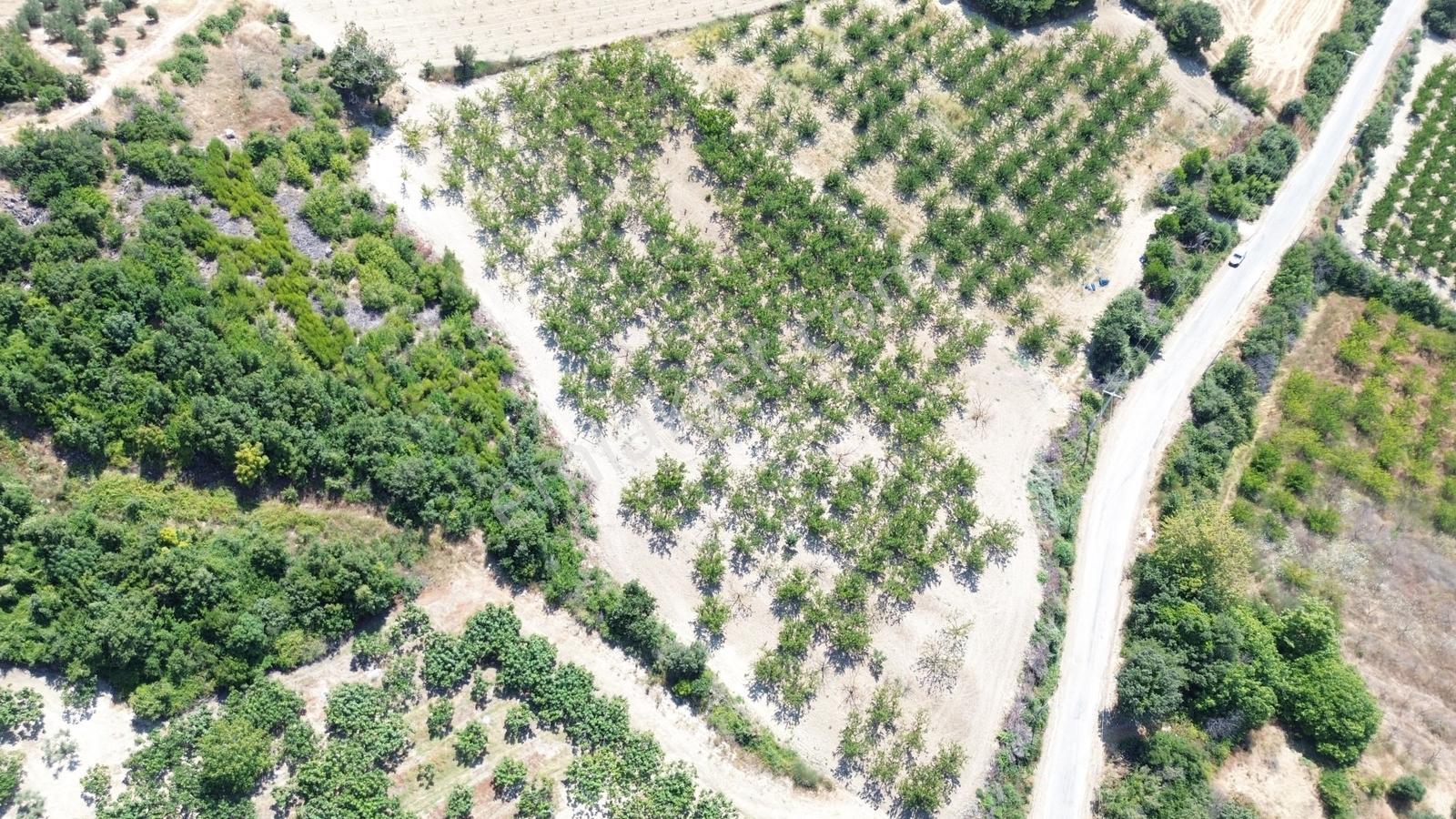 Yiğit Gayrimenkul'den Çanakkale Yapıldak Köyünde Satılık Tarla — fotoğraf 25