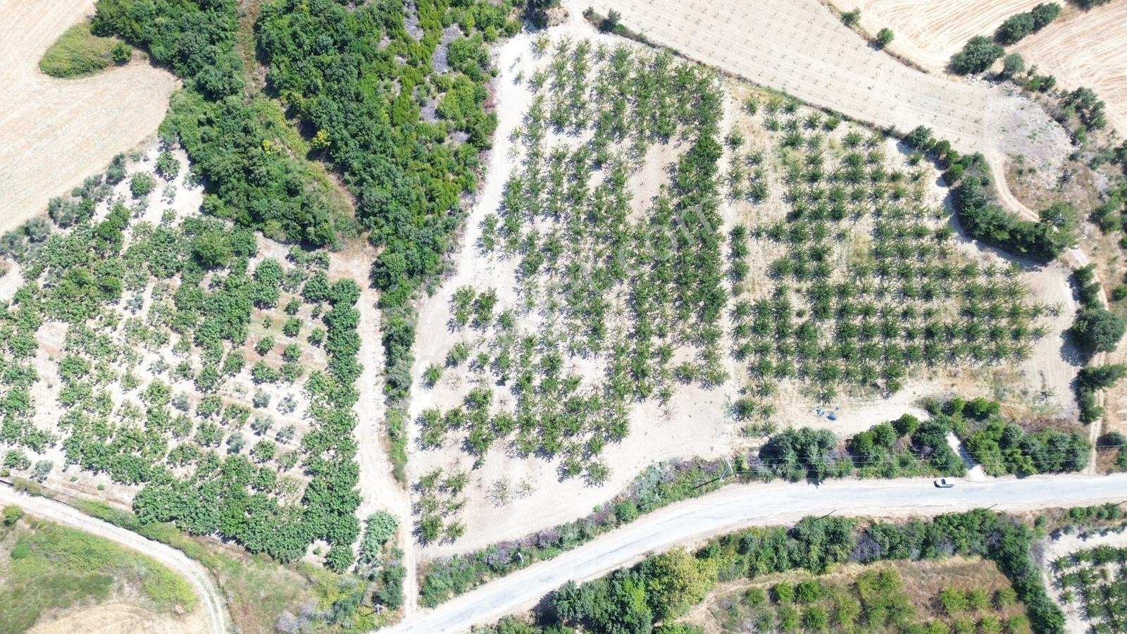 Yiğit Gayrimenkul'den Çanakkale Yapıldak Köyünde Satılık Tarla — fotoğraf 26