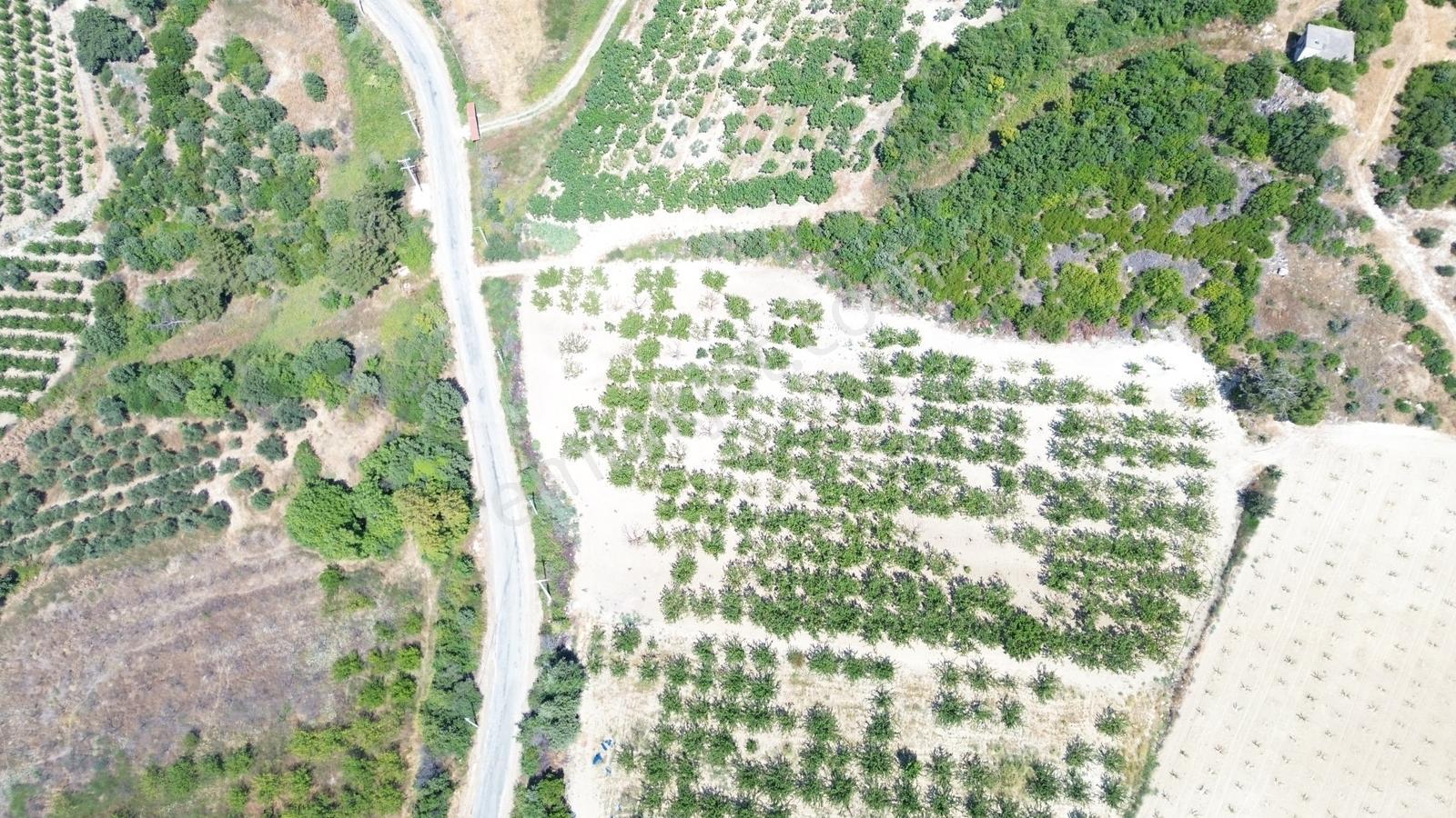 Yiğit Gayrimenkul'den Çanakkale Yapıldak Köyünde Satılık Tarla — fotoğraf 27