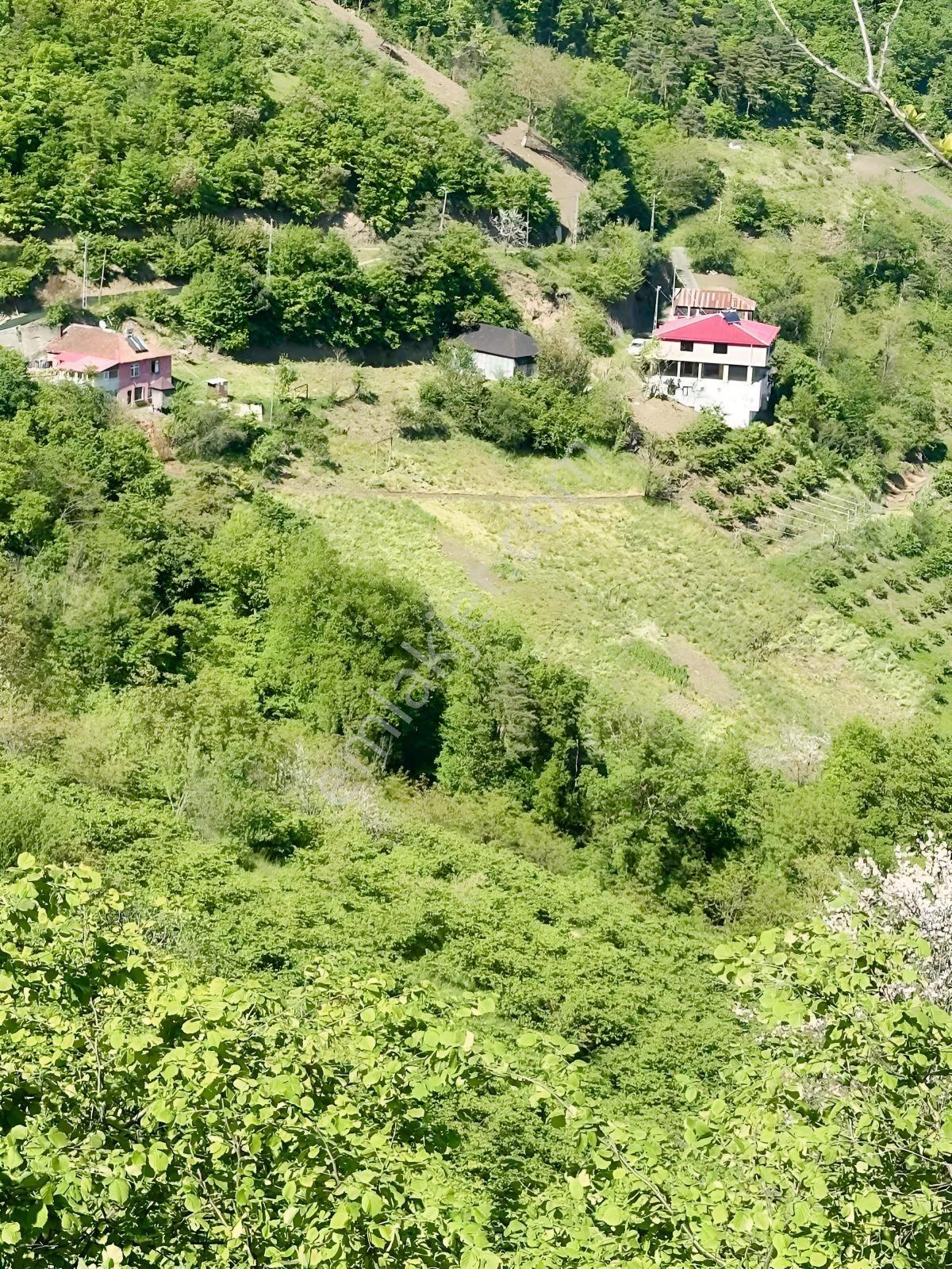 Darıcada Satılık Fırsat Arsa