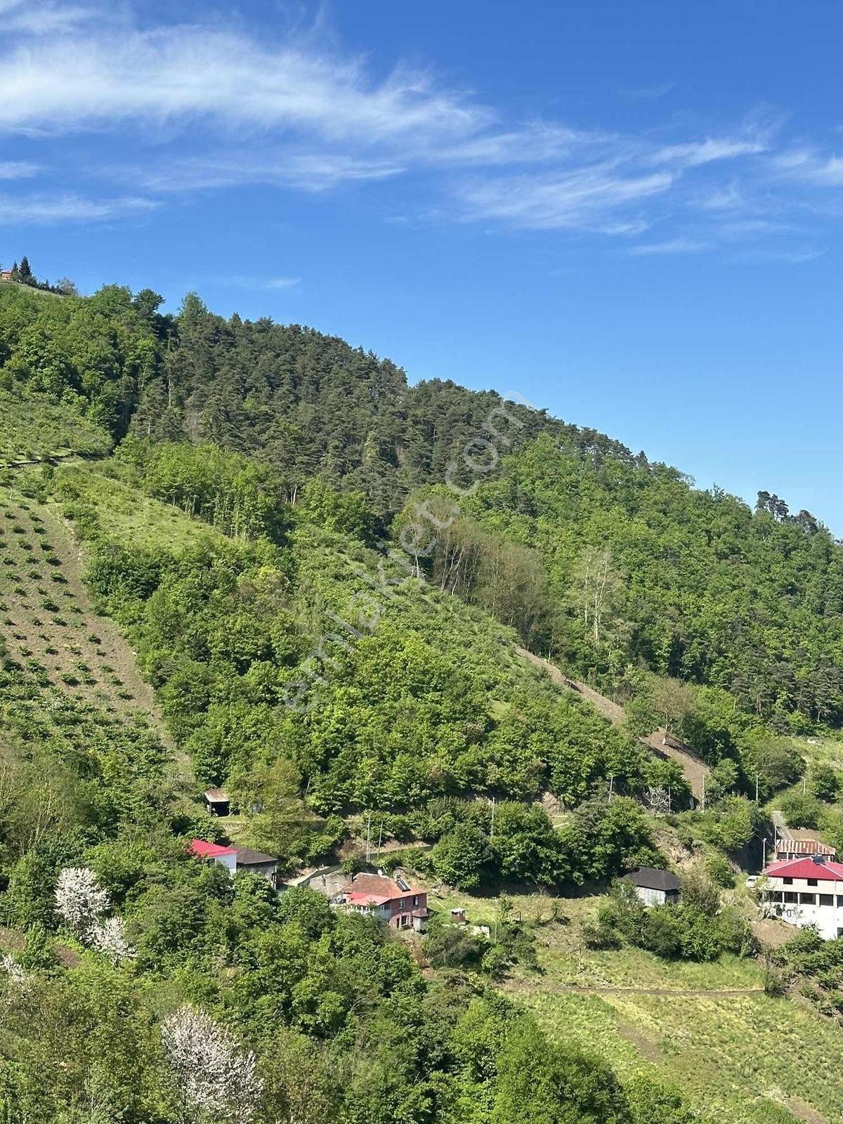 Darıcada Satılık Fırsat Arsa — fotoğraf 2