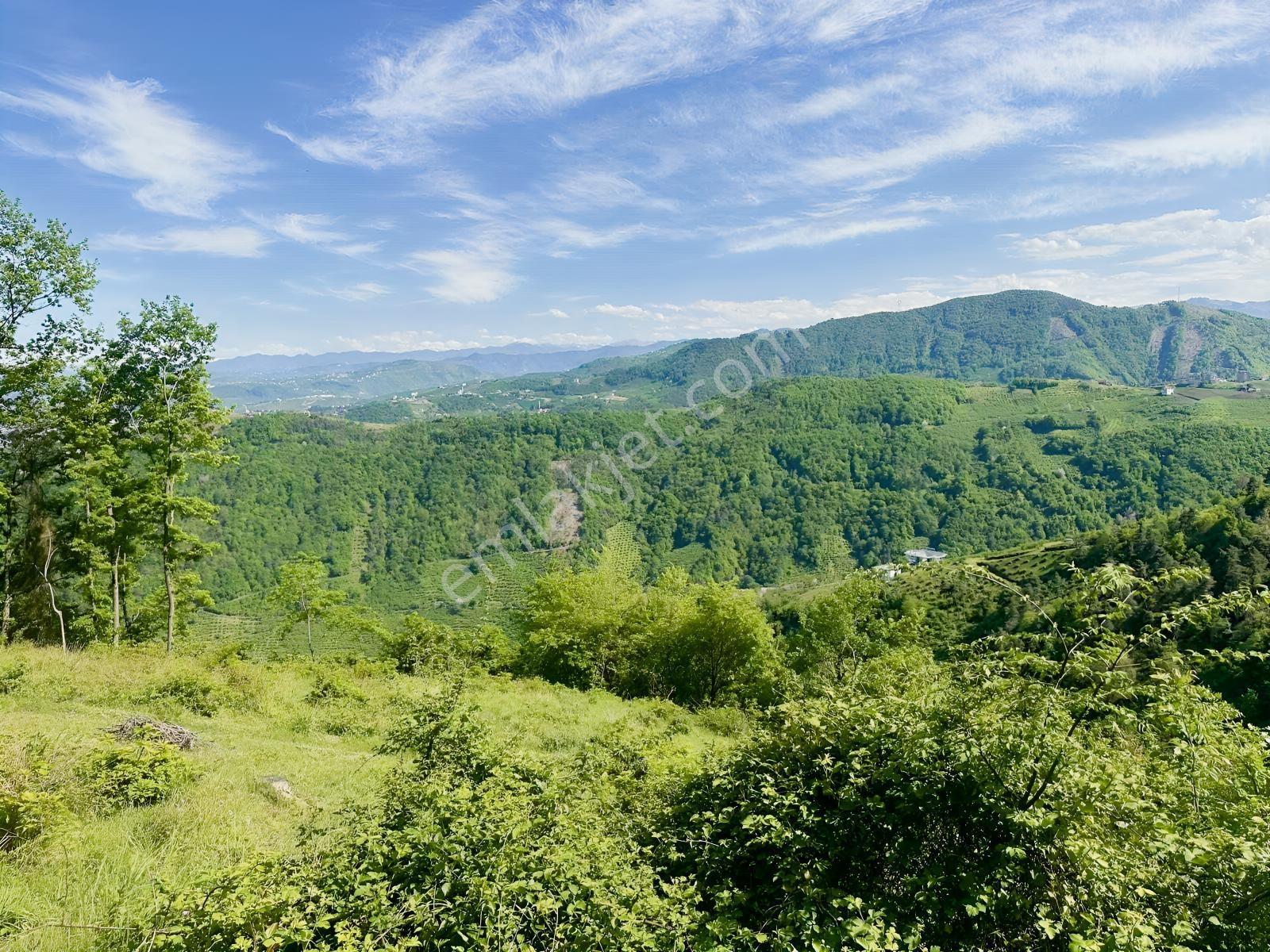 Darıcada Satılık Fırsat Arsa — fotoğraf 4