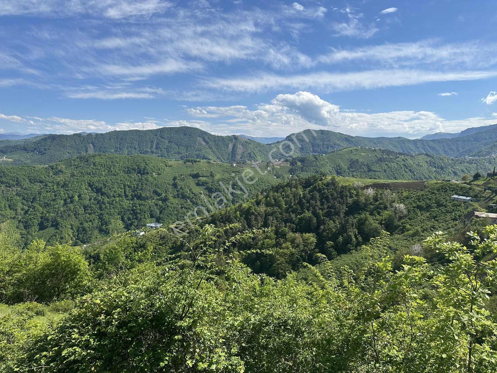 Darıcada Satılık Fırsat Arsa — fotoğraf 8