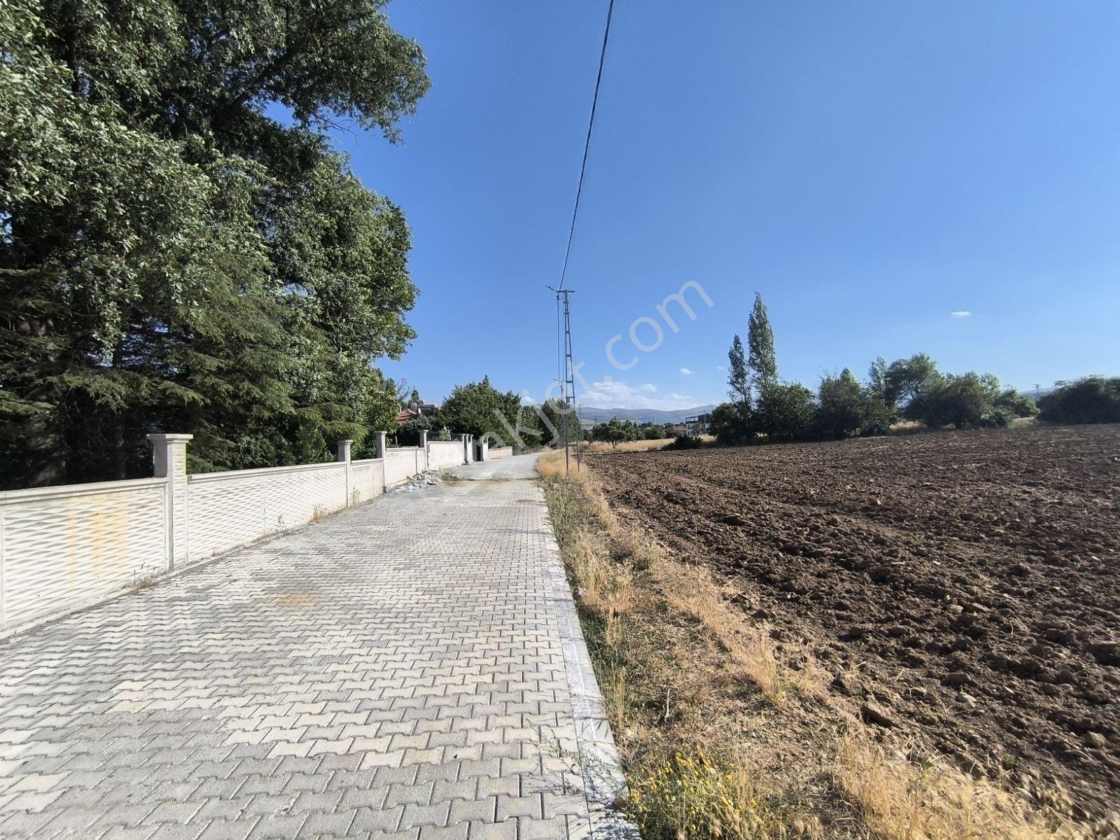 İstanbul Yoluna 500m Mesafede Bağ Evi — fotoğraf 2