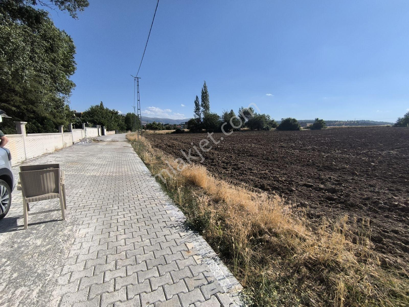 İstanbul Yoluna 500m Mesafede Bağ Evi — fotoğraf 5