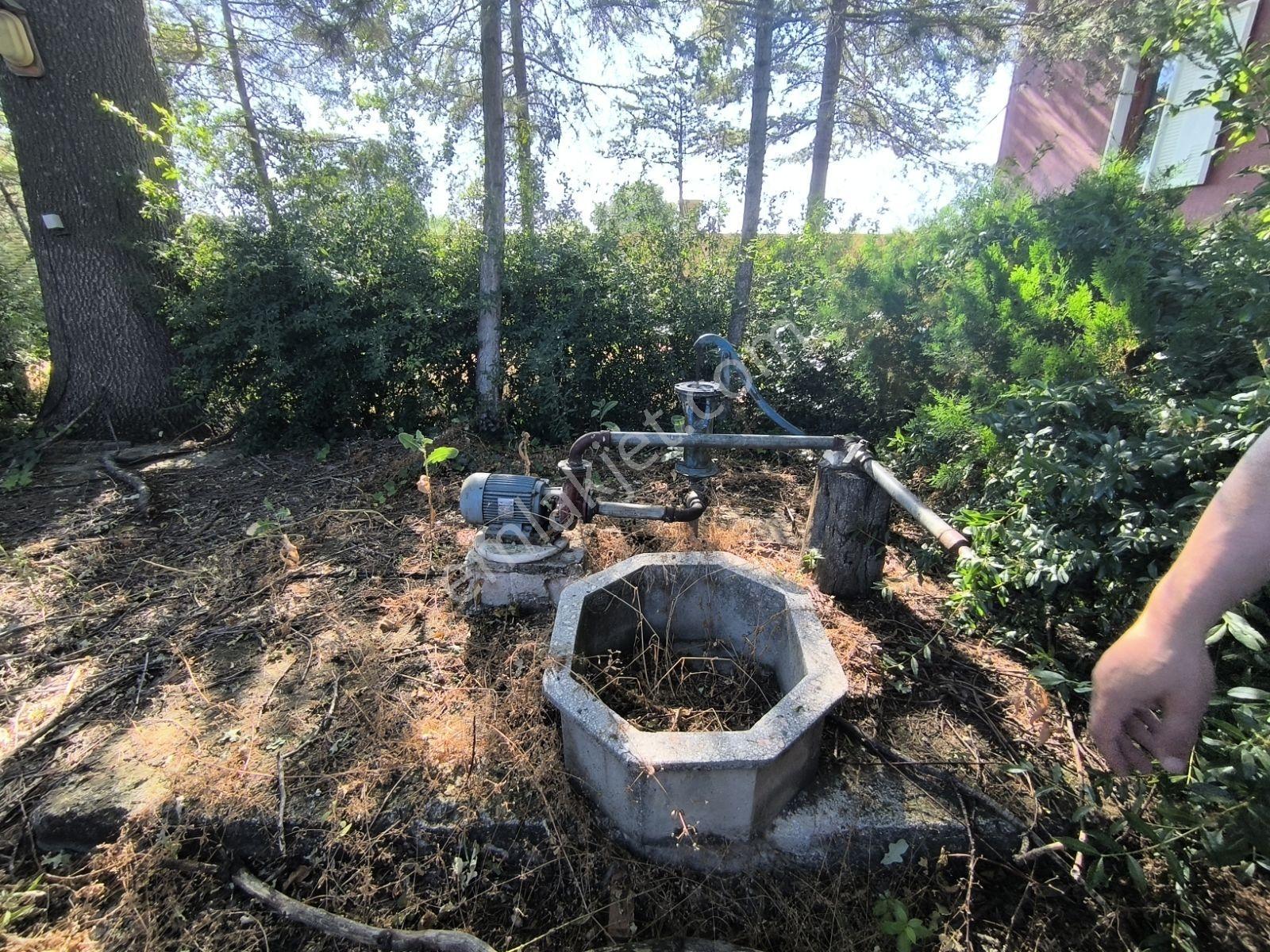 İstanbul Yoluna 500m Mesafede Bağ Evi — fotoğraf 34