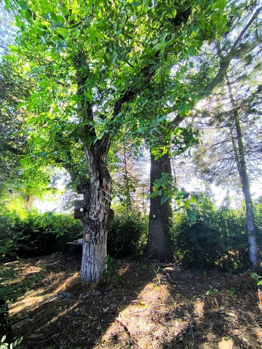 İstanbul Yoluna 500m Mesafede Bağ Evi — fotoğraf 36