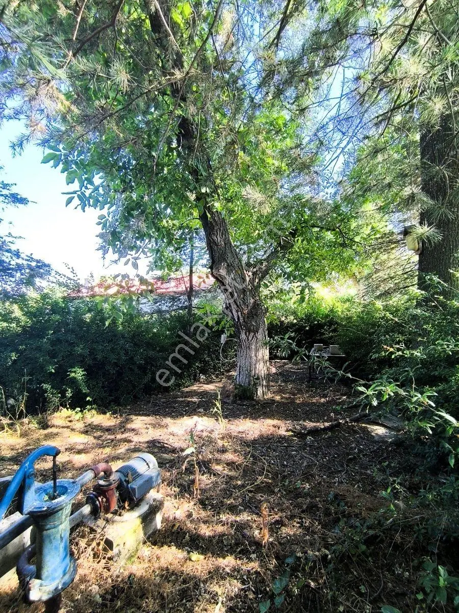 İstanbul Yoluna 500m Mesafede Bağ Evi — fotoğraf 38