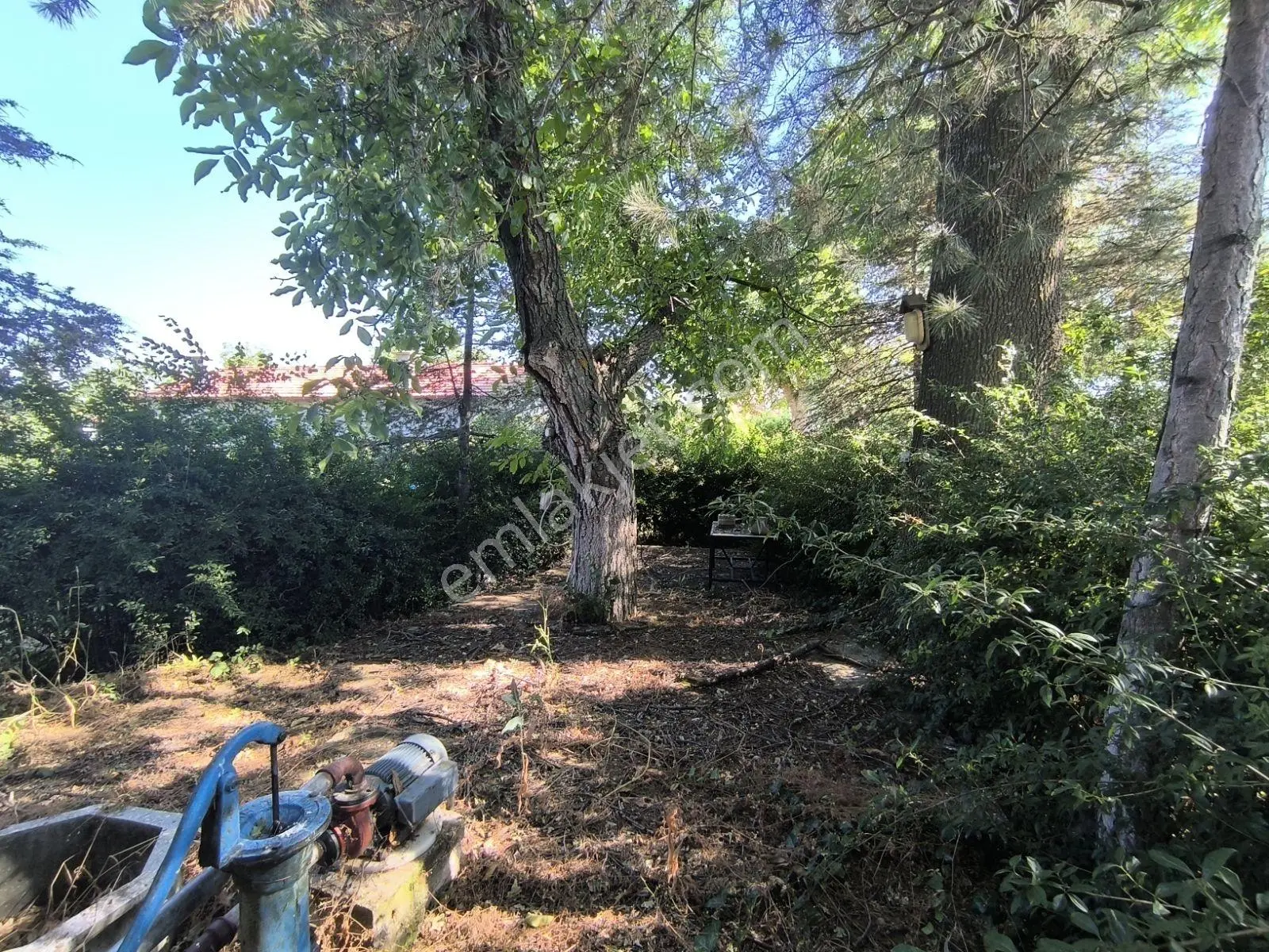 İstanbul Yoluna 500m Mesafede Bağ Evi — fotoğraf 39