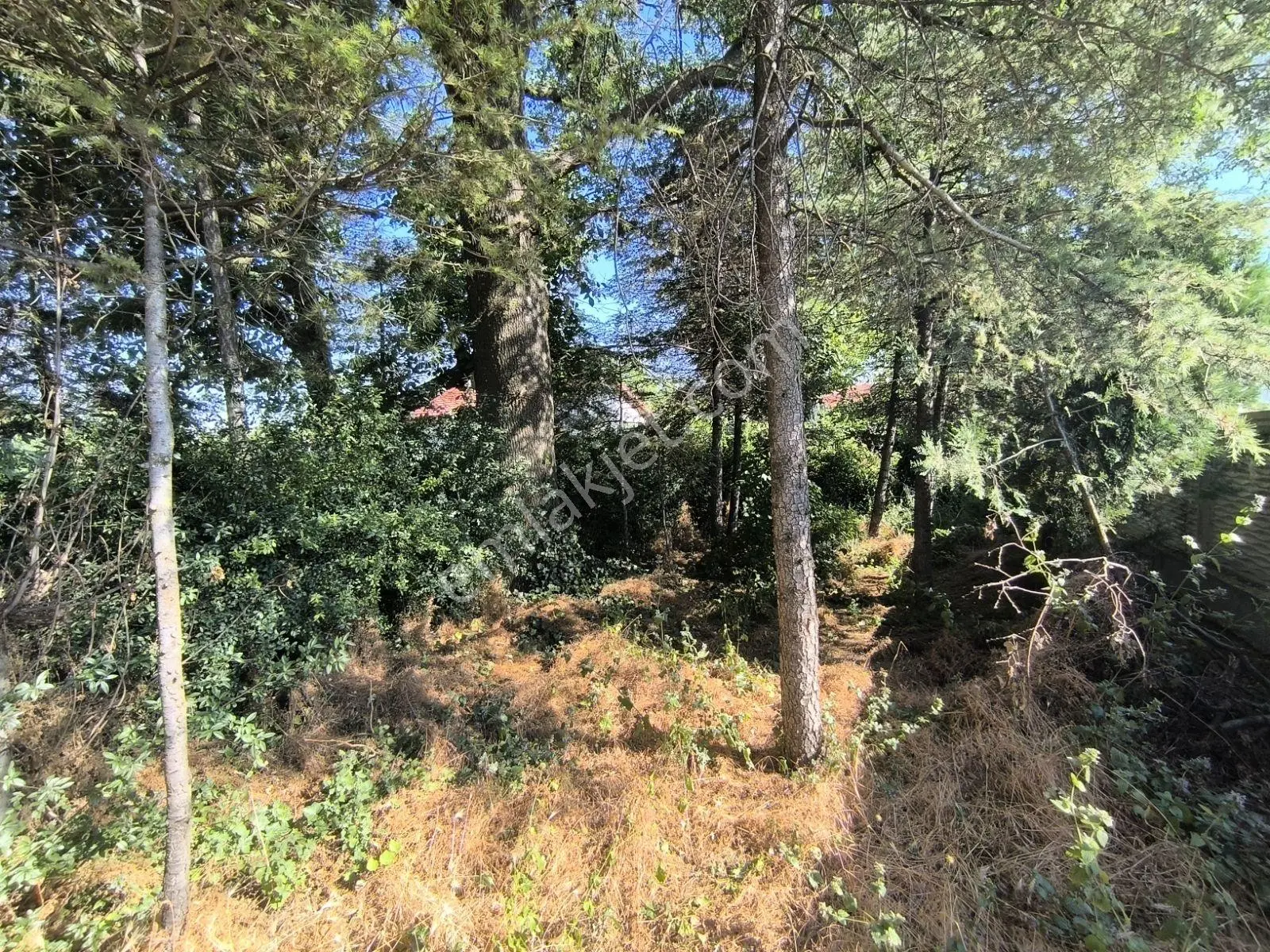 İstanbul Yoluna 500m Mesafede Bağ Evi — fotoğraf 41