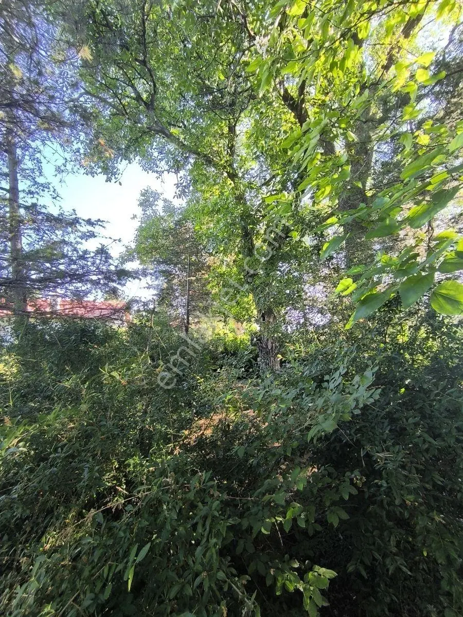 İstanbul Yoluna 500m Mesafede Bağ Evi — fotoğraf 42