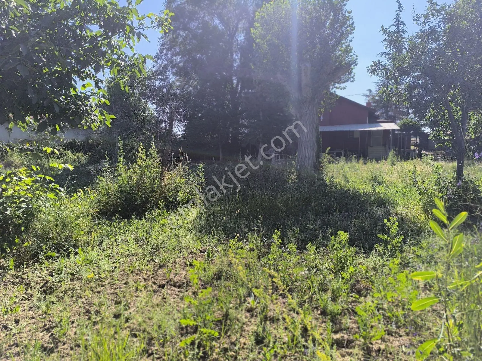 İstanbul Yoluna 500m Mesafede Bağ Evi — fotoğraf 45