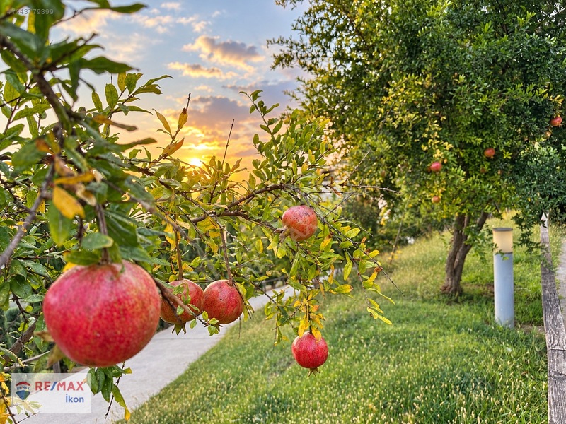Özlem Kılıç Remax- Narcıty 'de İçi Tamamen Yenilenmiş, Deniz Mnz — fotoğraf 48