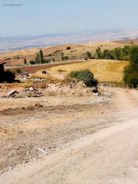 Sarı Dan Pecenekte 3.500 M2 Tapulu Tarla
