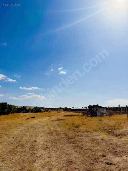 Sarı Dan Pecenekte 3.500 M2 Tapulu Tarla — fotoğraf 6