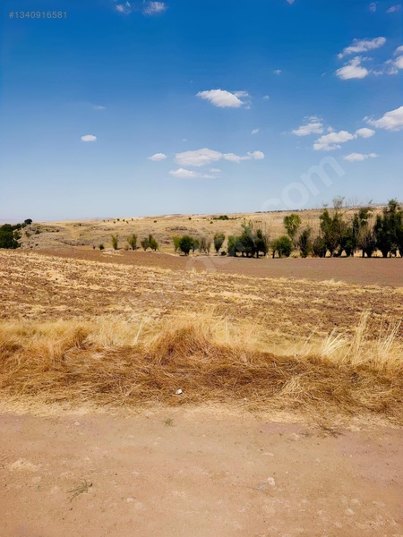 Sarı Dan Pecenekte 3.500 M2 Tapulu Tarla — fotoğraf 10