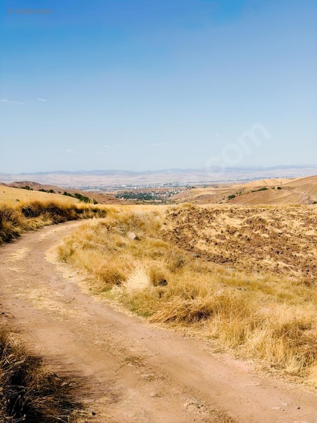 Sarı Dan Pecenekte 3.500 M2 Tapulu Tarla — fotoğraf 11