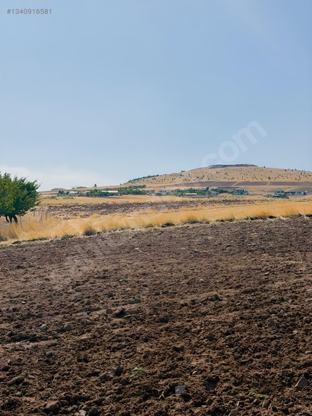 Sarı Dan Pecenekte 3.500 M2 Tapulu Tarla — fotoğraf 12