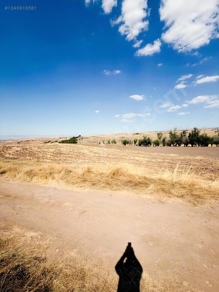 Sarı Dan Pecenekte 3.500 M2 Tapulu Tarla — fotoğraf 13