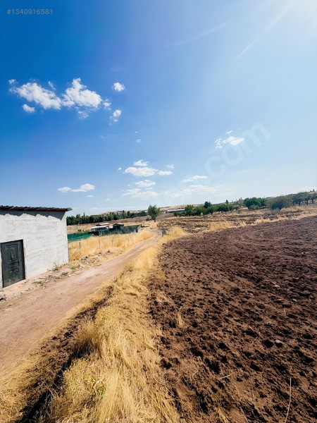 Sarı Dan Pecenekte 3.500 M2 Tapulu Tarla — fotoğraf 14