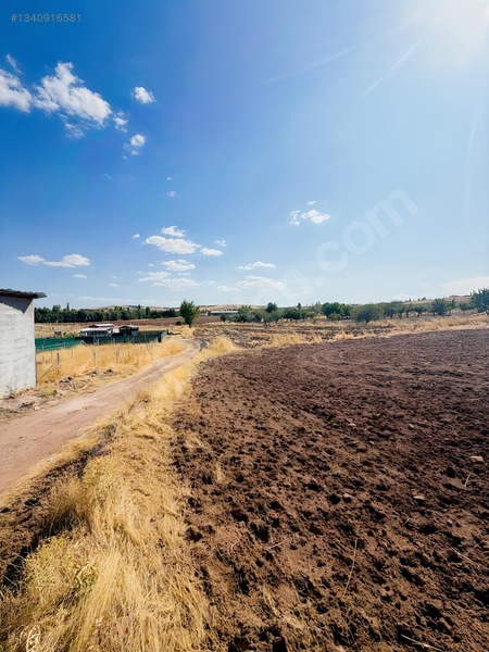 Sarı Dan Pecenekte 3.500 M2 Tapulu Tarla — fotoğraf 15