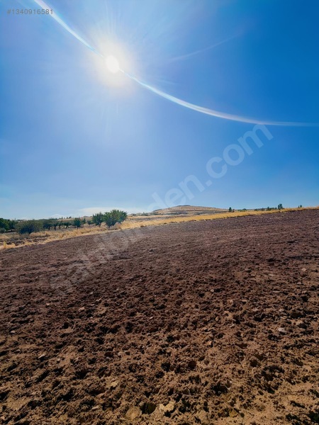 Sarı Dan Pecenekte 3.500 M2 Tapulu Tarla — fotoğraf 16