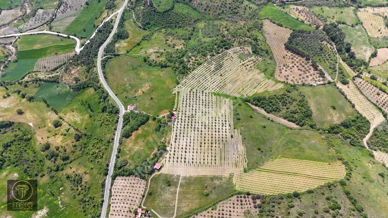 Bergama İvrinde Yolu Üstünde 10 Dönüm Kiralık Arazi — fotoğraf 3