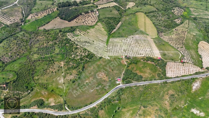 Bergama İvrinde Yolu Üstünde 10 Dönüm Kiralık Arazi — fotoğraf 4