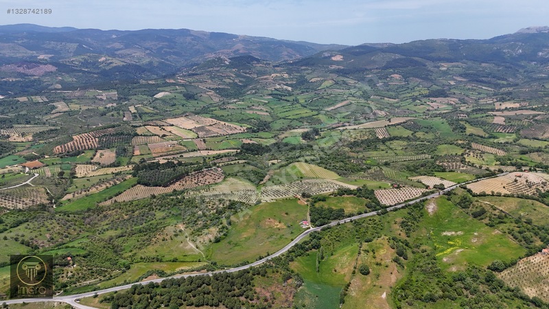 Bergama İvrinde Yolu Üstünde 10 Dönüm Kiralık Arazi — fotoğraf 7