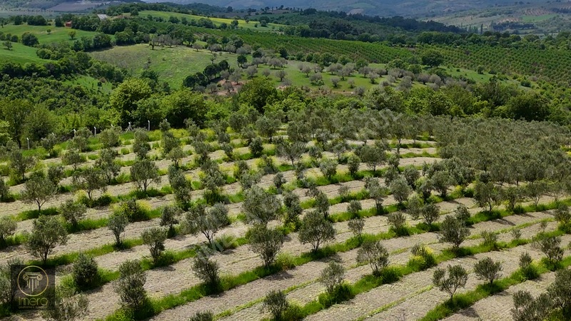 Bergama İvrinde Yolu Üstünde 10 Dönüm Kiralık Arazi — fotoğraf 14