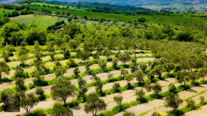 Bergama İvrinde Yolu Üstünde 10 Dönüm Kiralık Arazi — fotoğraf 15