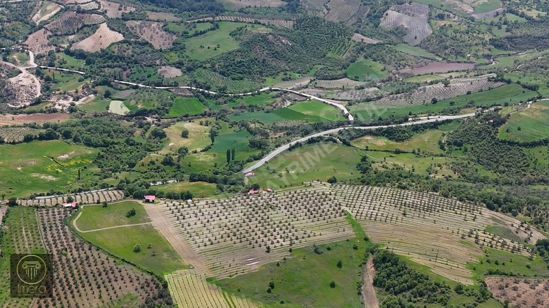 Bergama İvrinde Yolu Üstünde 10 Dönüm Kiralık Arazi — fotoğraf 19