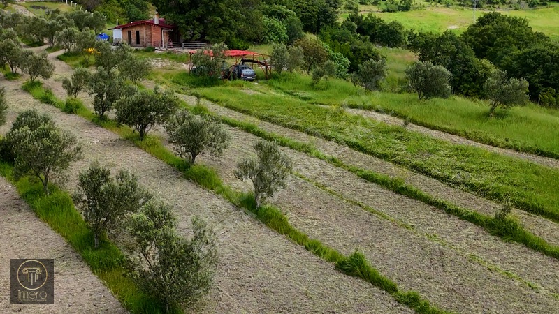 Bergama İvrinde Yolu Üstünde 10 Dönüm Kiralık Arazi — fotoğraf 22