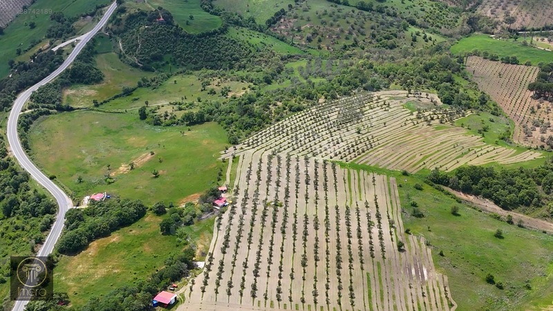 Bergama İvrinde Yolu Üstünde 10 Dönüm Kiralık Arazi — fotoğraf 23