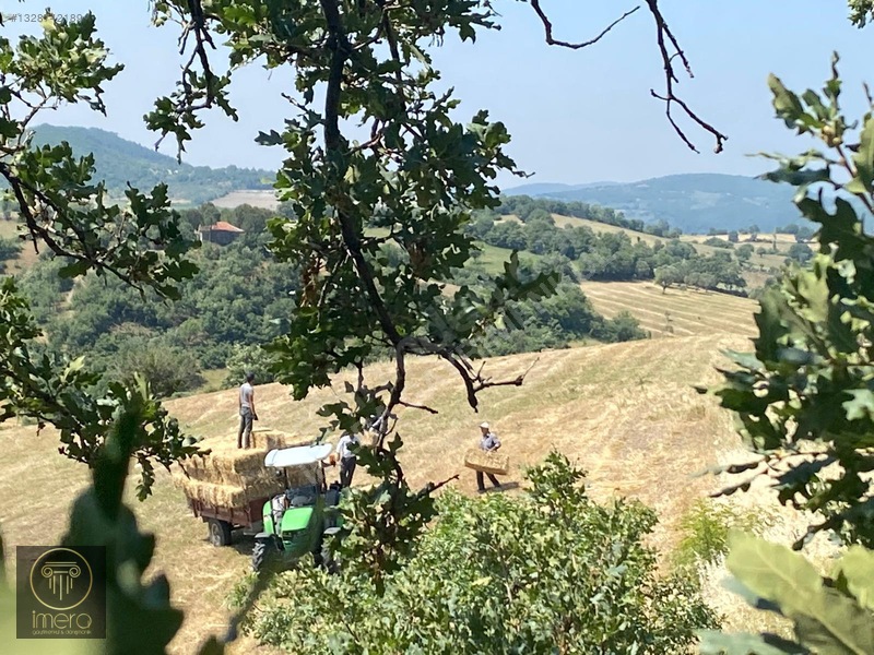 Bergama İvrinde Yolu Üstünde 10 Dönüm Kiralık Arazi — fotoğraf 25