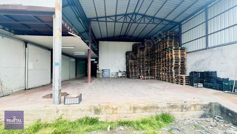 Gürsu Ağaköy Kiralık 600m2 Soğuk Depo Buzhane — fotoğraf 4