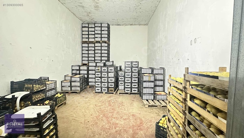 Gürsu Ağaköy Kiralık 600m2 Soğuk Depo Buzhane — fotoğraf 8